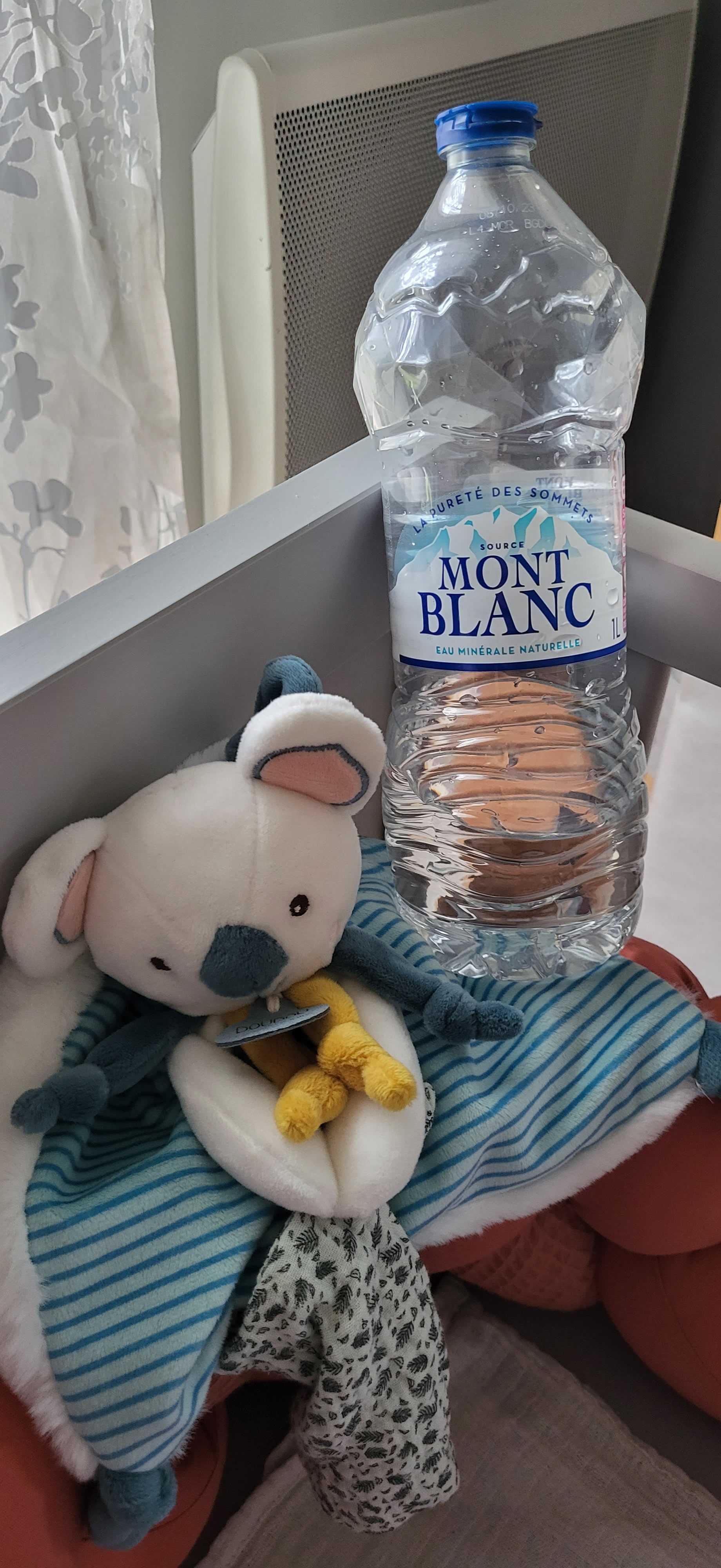 Bouteille d'eau Mont Blanc pour bébé