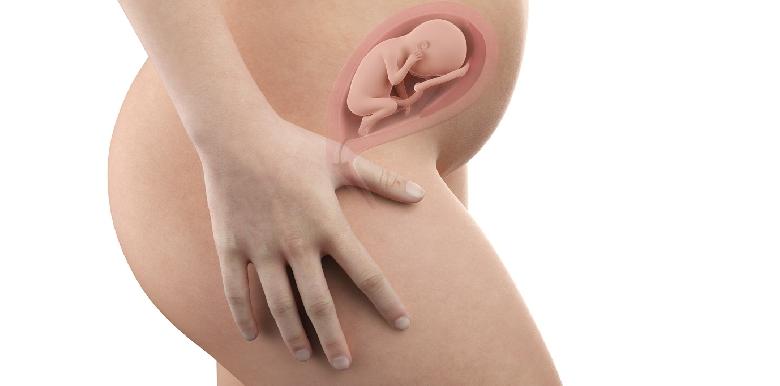 Bebe In Utero Semaine 21 23 Sa La Boite Rose