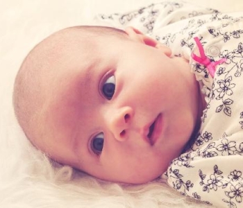 Le Nouveau Ne Sous Toutes Ses Facettes La Boite Rose